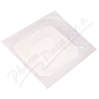 Rychloobvaz STERI*PORE 10x10cm/2ks Steri